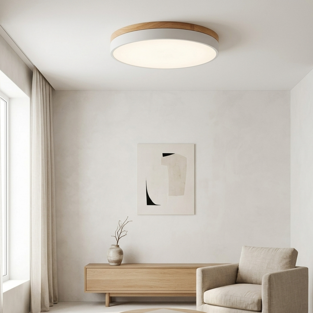 Ronde schijfplafondlamp – platte, vlak gemonteerde lamp