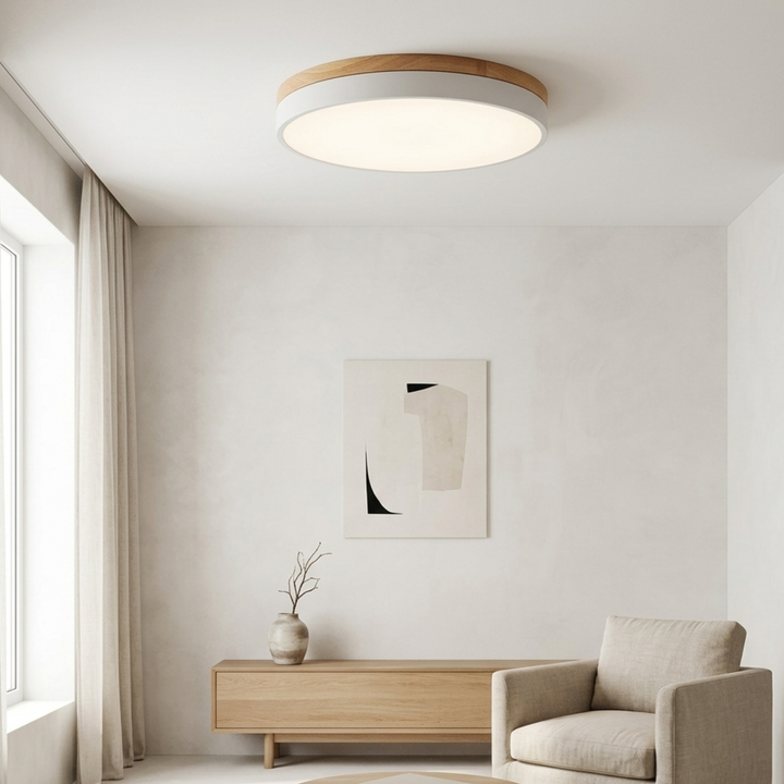 Ronde schijfplafondlamp – platte, vlak gemonteerde lamp
