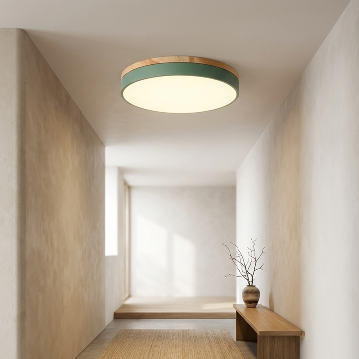 Ronde schijfplafondlamp – platte, vlak gemonteerde lamp