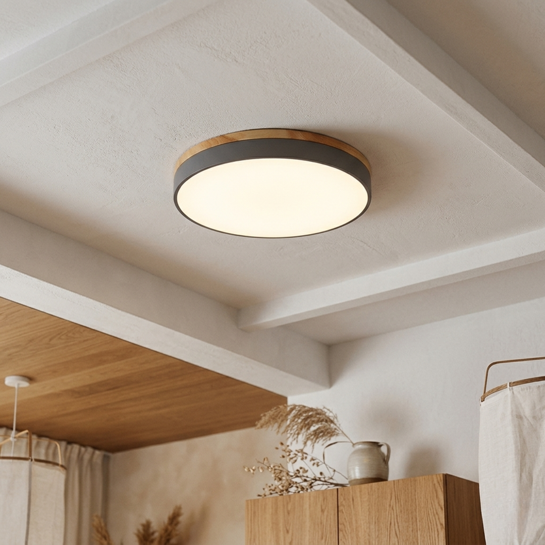 Ronde schijfplafondlamp – platte, vlak gemonteerde lamp