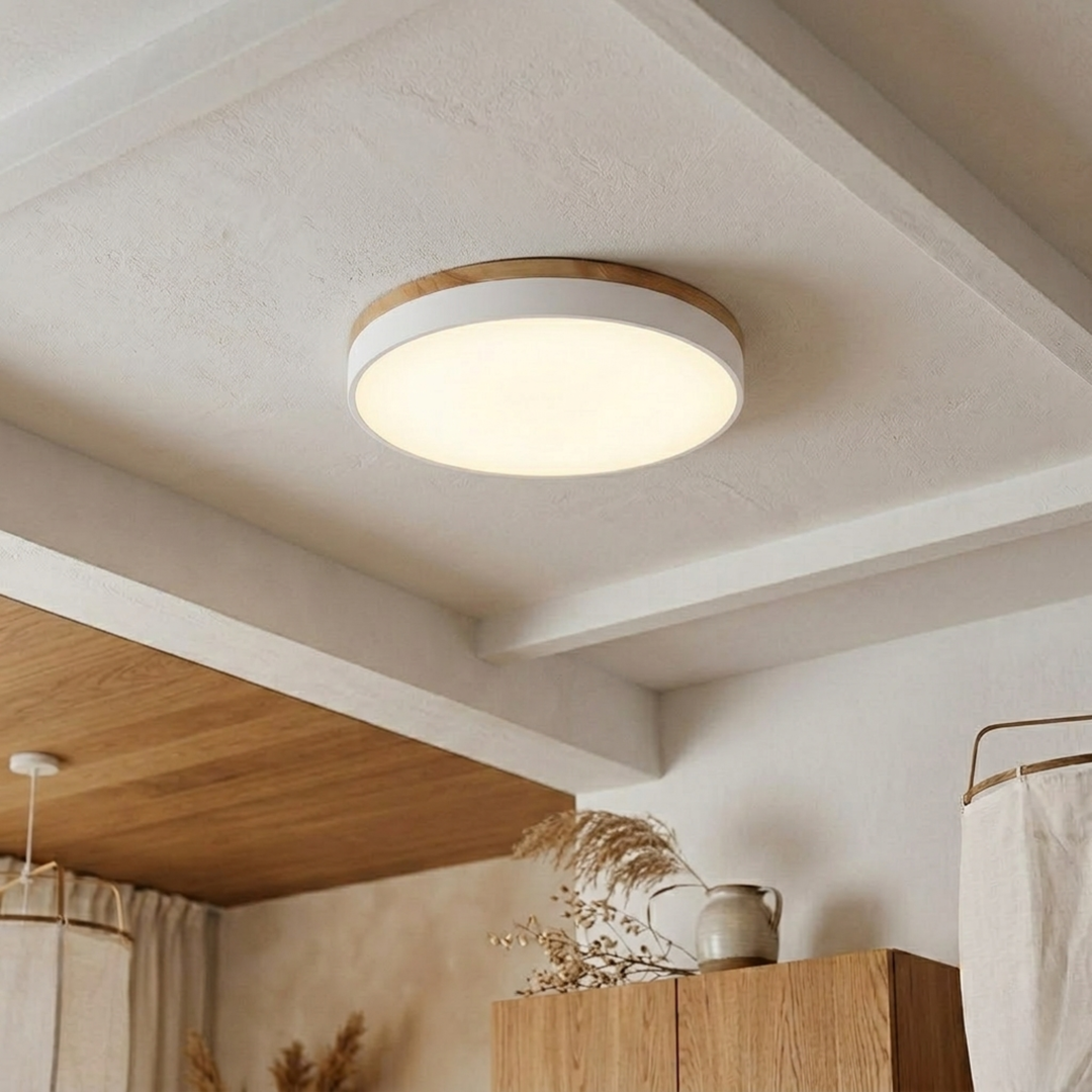 Ronde schijfplafondlamp – platte, vlak gemonteerde lamp