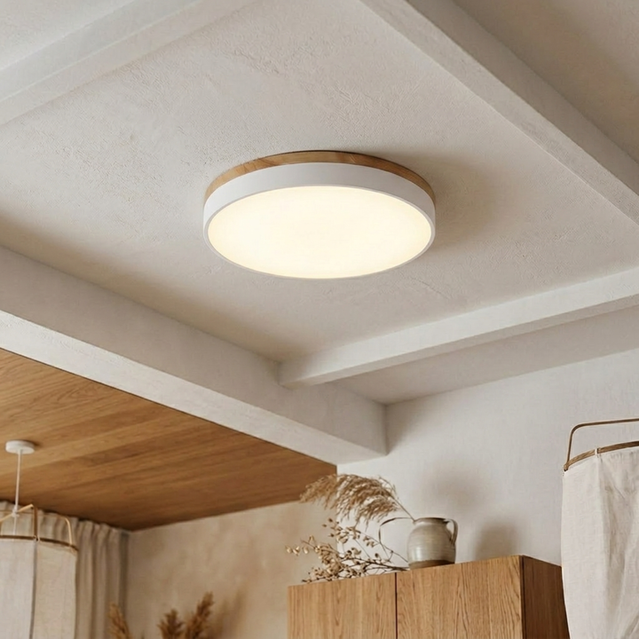 Ronde schijfplafondlamp – platte, vlak gemonteerde lamp
