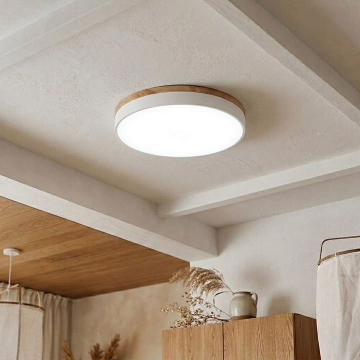 Ronde schijfplafondlamp – platte, vlak gemonteerde lamp
