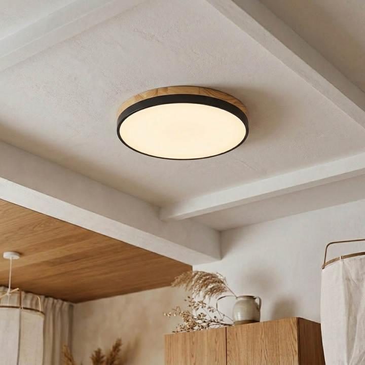 Ronde schijfplafondlamp – platte, vlak gemonteerde lamp