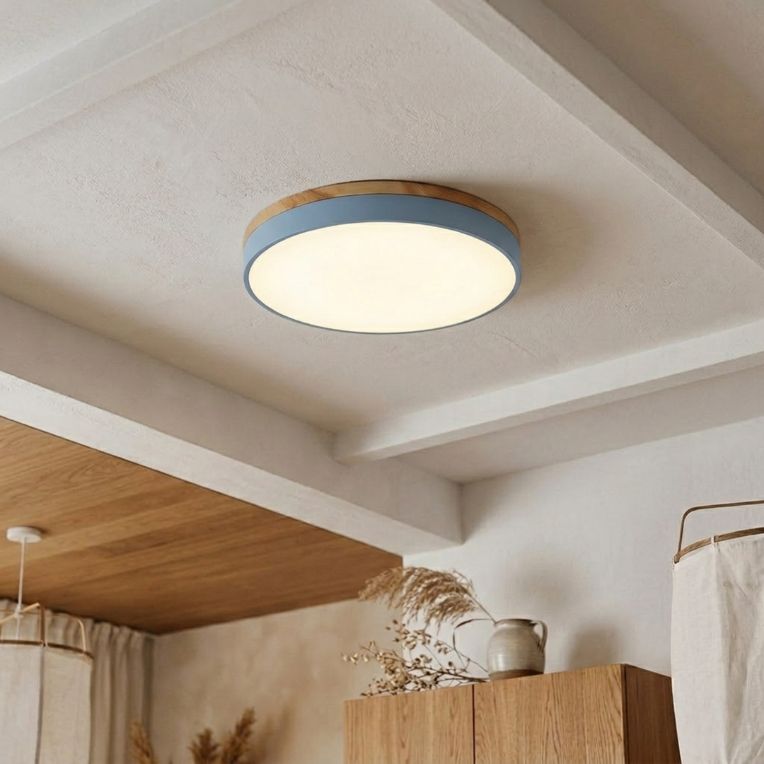 Ronde schijfplafondlamp – platte, vlak gemonteerde lamp