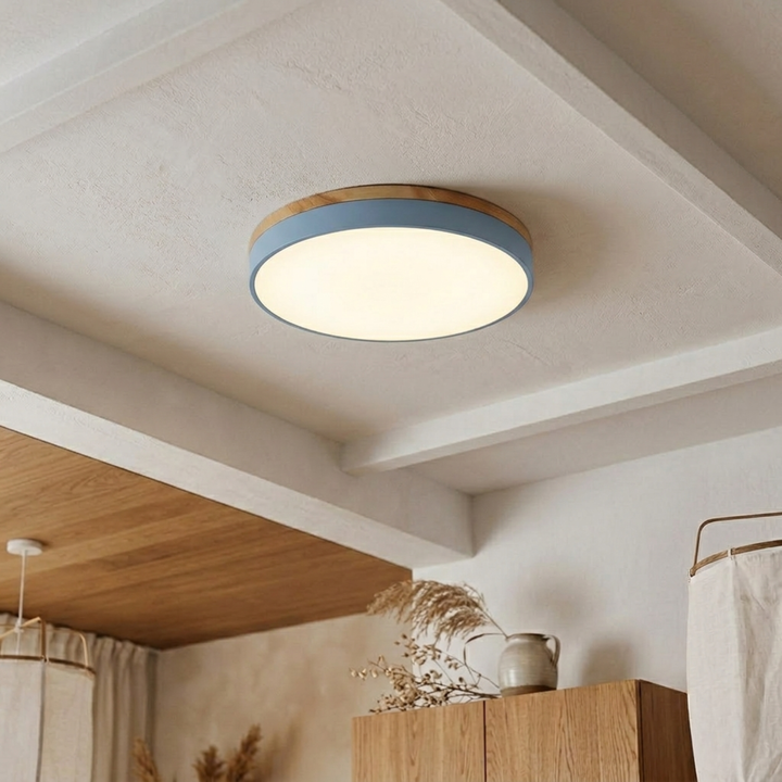 Ronde schijfplafondlamp – platte, vlak gemonteerde lamp