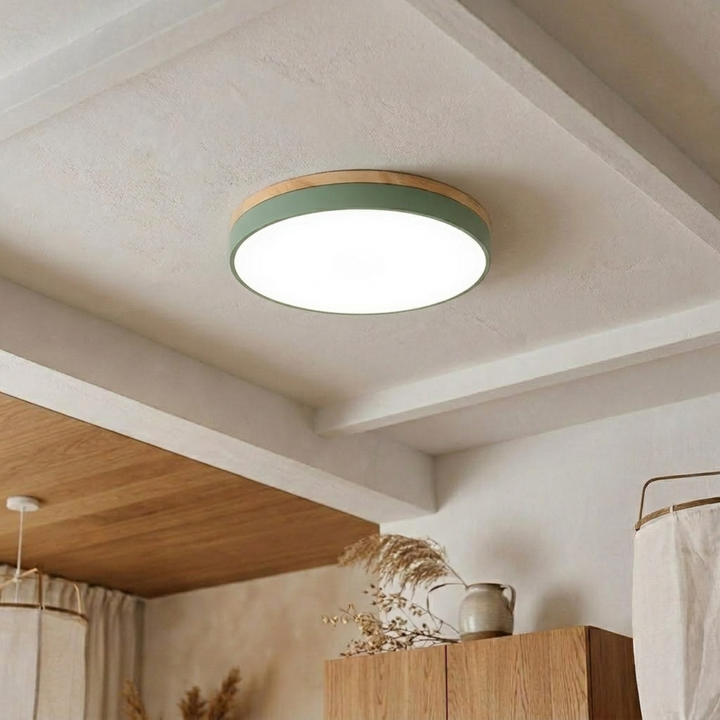 Ronde schijfplafondlamp – platte, vlak gemonteerde lamp