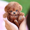Interactieve pluche hond met realistische bewegingen – voor kinderen & senioren