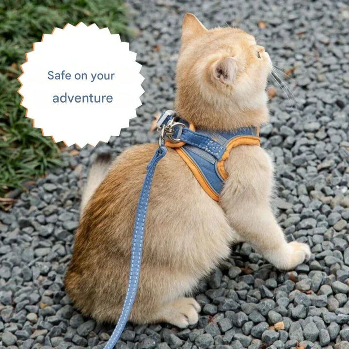 Verstelbaar kattentuig met riem – WhiskerWander
