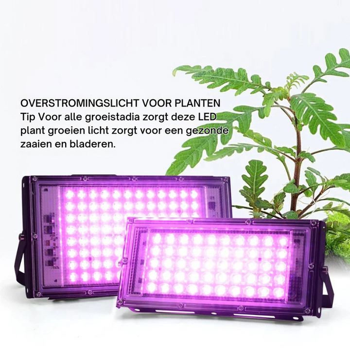 LumoGrow – Full Spectrum LED Kweeklamp met Afstandsbediening