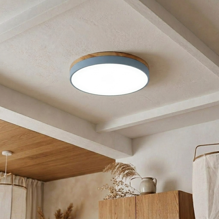 Ronde schijfplafondlamp – platte, vlak gemonteerde lamp