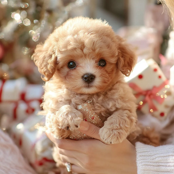 Interactieve pluche hond met realistische bewegingen – voor kinderen & senioren