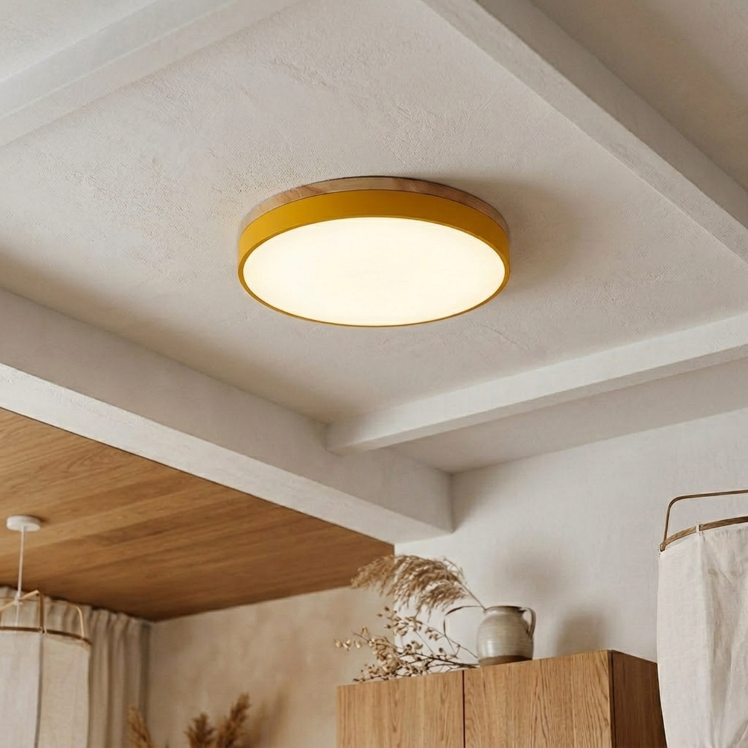 Ronde schijfplafondlamp – platte, vlak gemonteerde lamp