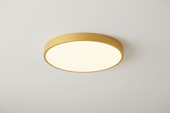 Ronde LED Plafondlamp