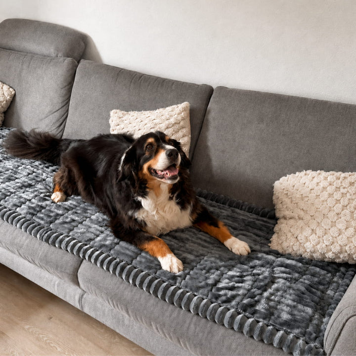 Brittany bankbeschermer — waterafstotende deken voor honden en katten