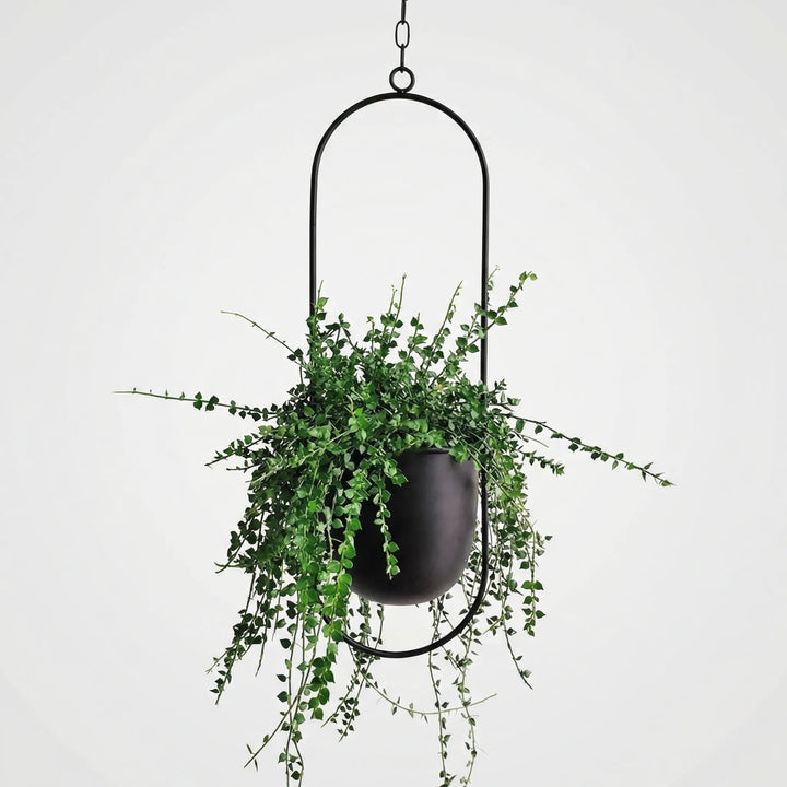 Hangende bloempot met geometrisch frame – Floraveil
