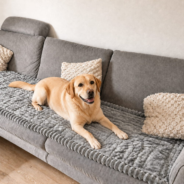 Brittany bankbeschermer — waterafstotende deken voor honden en katten