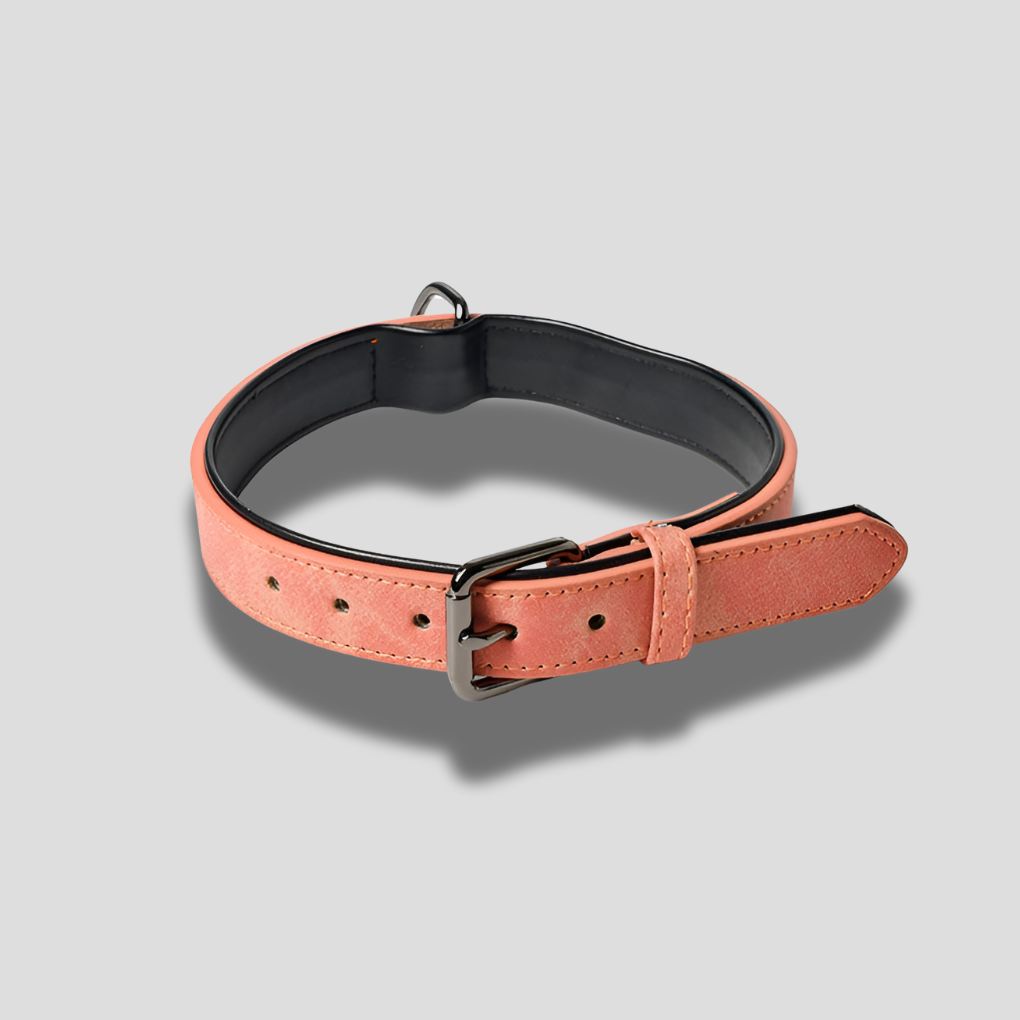 Lederen Gegraveerde Hondenhalsband