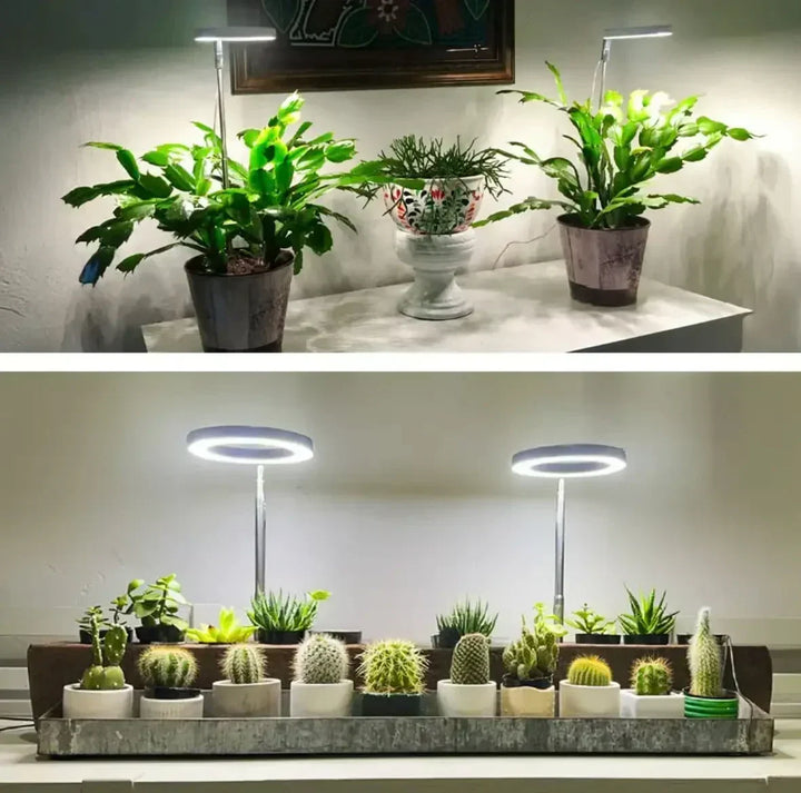 Full-spectrum led-plantenlamp met timer en dimfunctie