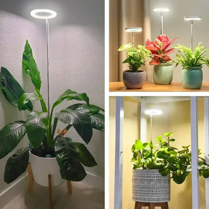 Full-spectrum led-plantenlamp met timer en dimfunctie