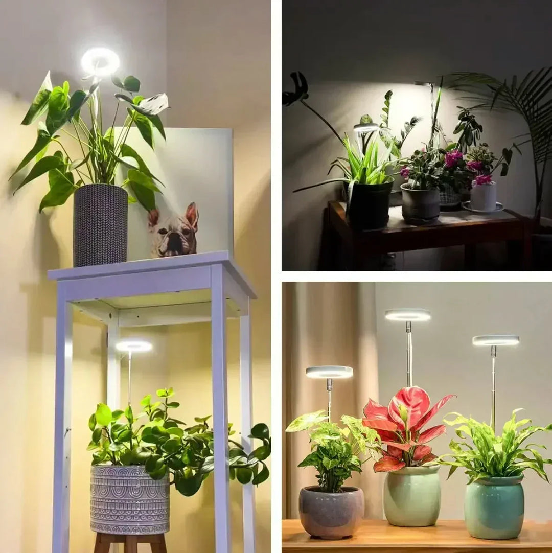 Full-spectrum led-plantenlamp met timer en dimfunctie