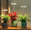 Full-spectrum led-plantenlamp met timer en dimfunctie