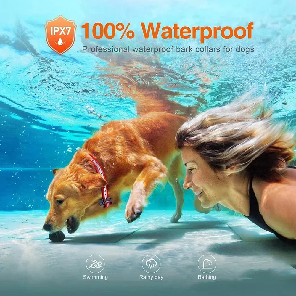 Oplaadbare elektrische trainingshalsband met afstandsbediening, 1000 m bereik – PetControl