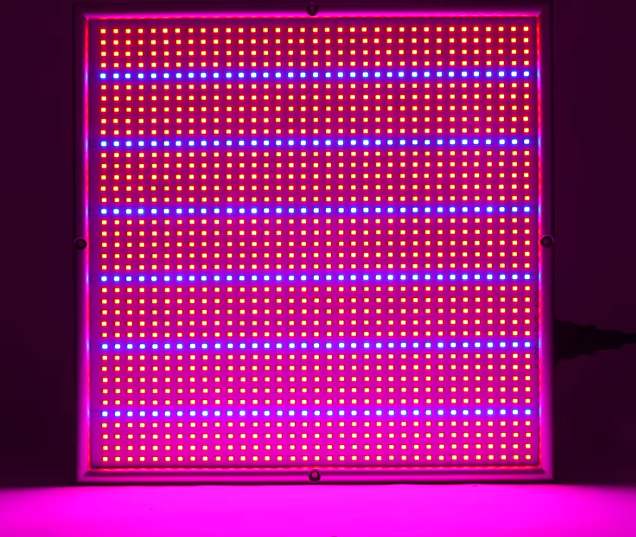 200W LED Grow Light – Dimbare Full Spectrum Kweeklamp met 2000 LEDs