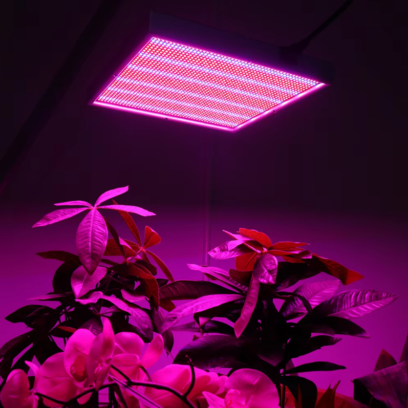 200W LED Grow Light – Dimbare Full Spectrum Kweeklamp met 2000 LEDs