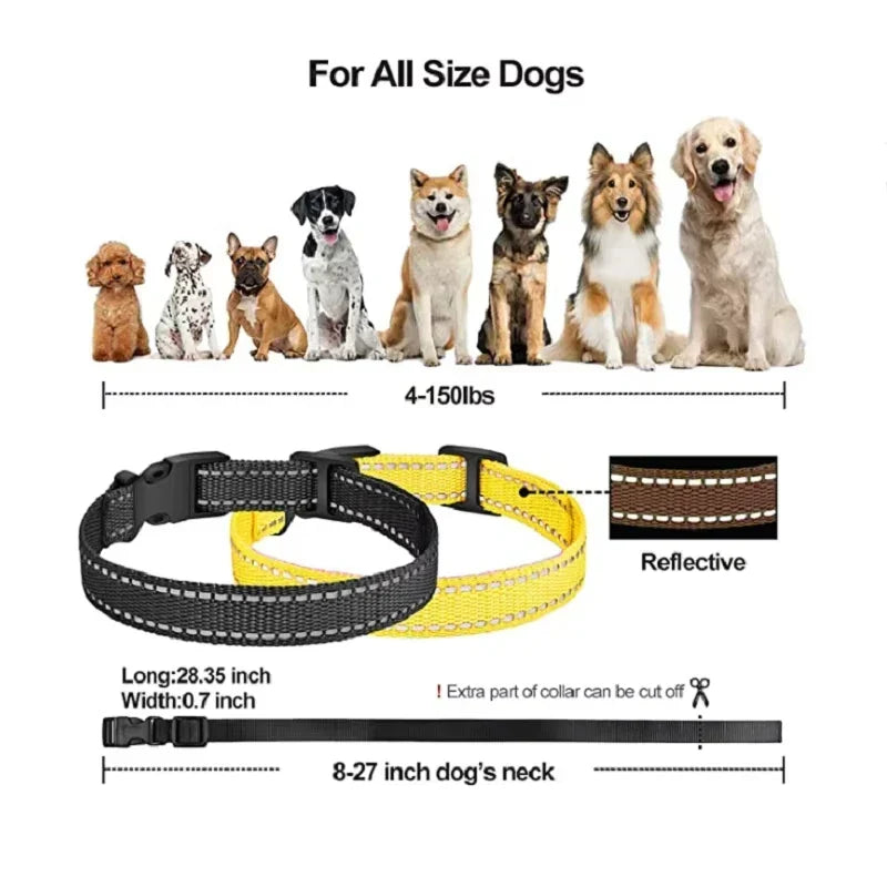 Oplaadbare elektrische trainingshalsband met afstandsbediening, 1000 m bereik – PetControl