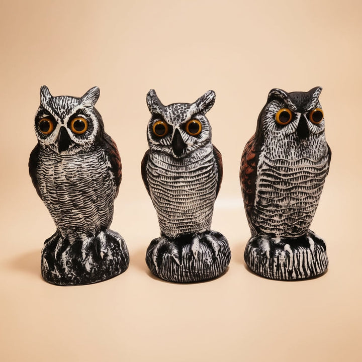 Halloween uilenlokvogel beeld met vogelverschrikker-ontwerp voor buiten