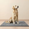Absorberende antislip deurmat voor honden met vuile poten