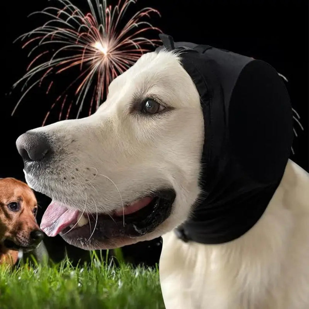 Oorkappen voor honden voor geluidsreductie