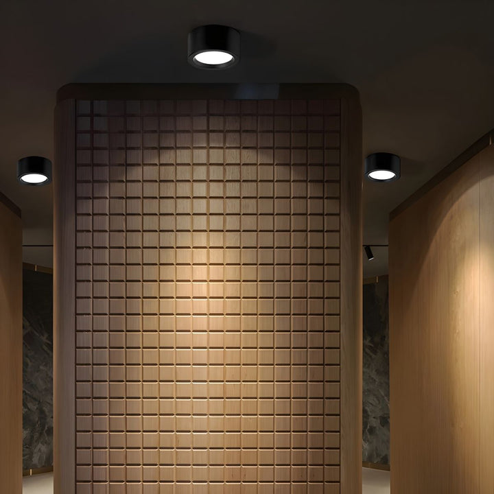 Opbouw cilinder LED-plafondlamp met modern design en energiezuinige verlichting