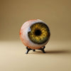 Halloween reuzenspin decoratie met realistisch oogbolrekwisiet voor spookhuis feestdecoratie