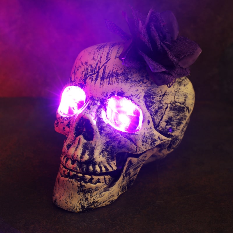 Halloween tuindecoratie skeletbord met grondpennen, LED-verlichting, buitenrekwisiet