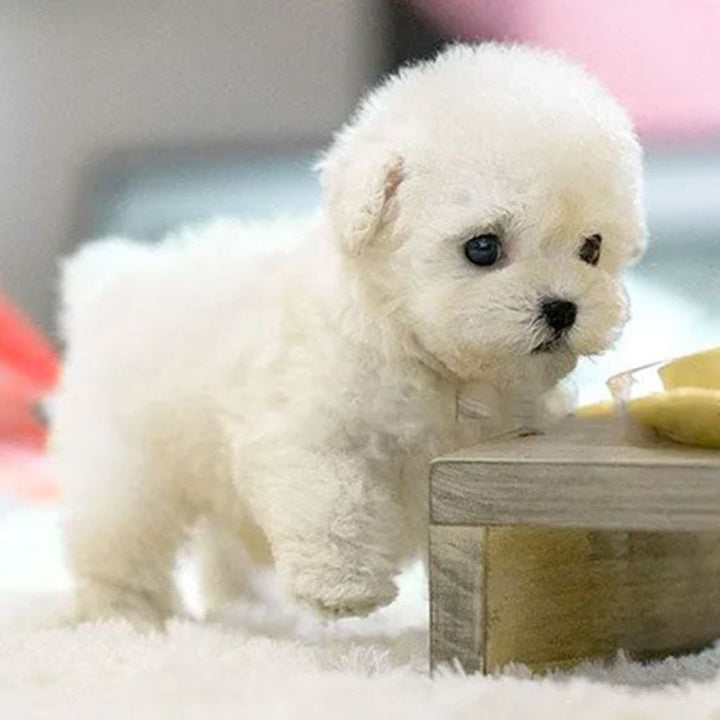 Interactieve robotpuppy voor kinderen – levensechte metgezel