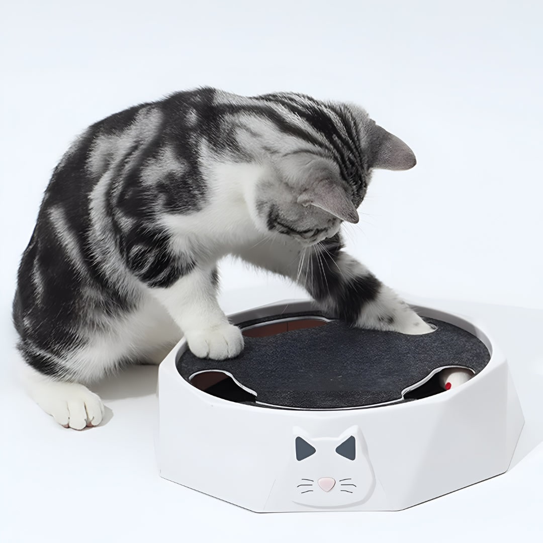 Interactief kattenspeelgoed met gemotoriseerde bewegende muis, krabplank en baan 11 inch krabmeubel