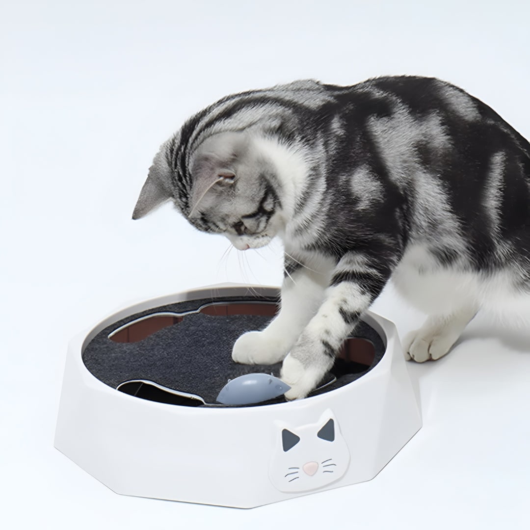 Interactief kattenspeelgoed met gemotoriseerde bewegende muis, krabplank en baan 11 inch krabmeubel