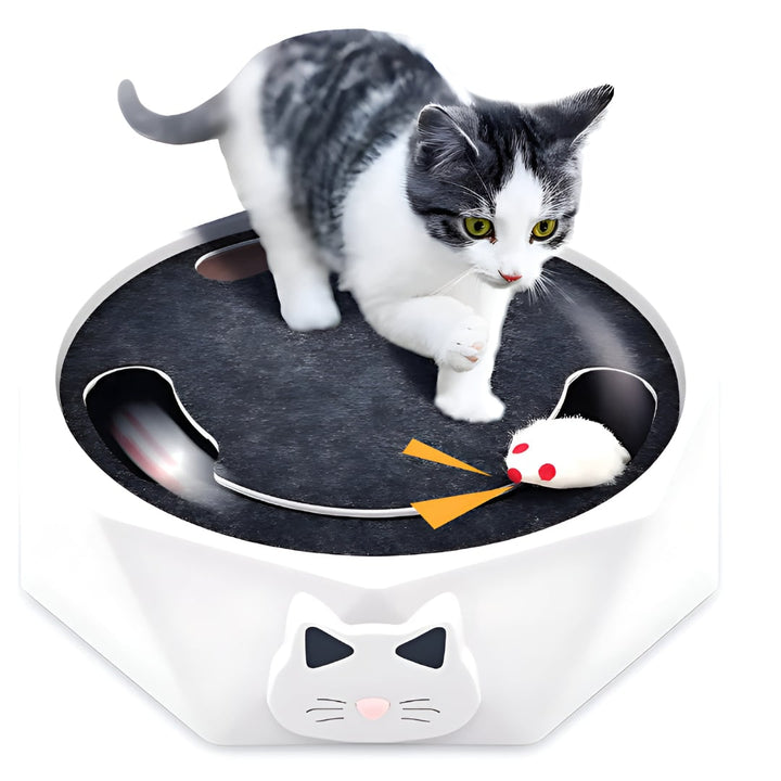 Interactief kattenspeelgoed met gemotoriseerde bewegende muis, krabplank en baan 11 inch krabmeubel