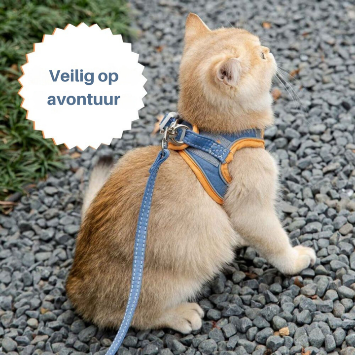 Kattentuig – Oscar