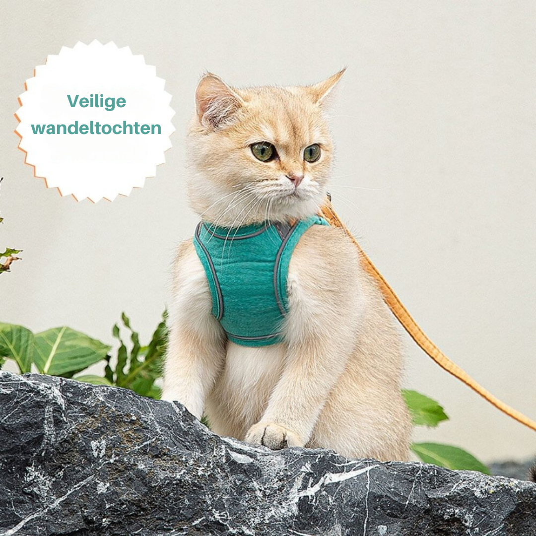 Kattentuig – Oscar