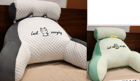 Lendensteunkussen met leesrugsteun, armleuningen en afneembare nekrol voor in bed