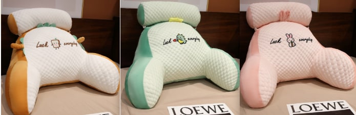 Lendensteunkussen met leesrugsteun, armleuningen en afneembare nekrol voor in bed