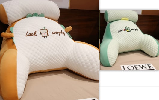 Lendensteunkussen met leesrugsteun, armleuningen en afneembare nekrol voor in bed