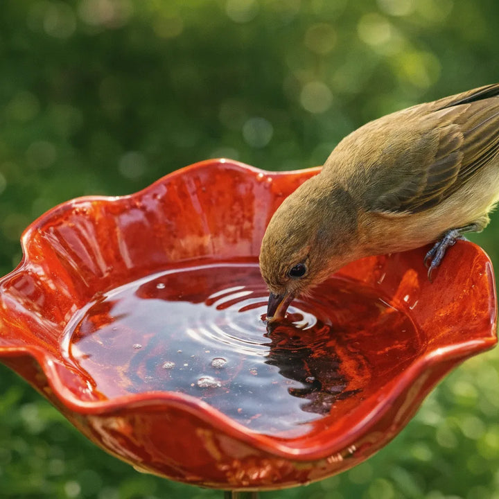 Metalen klaproos-vogeldrinkplaats-stekker – tuin- en balkondecoratie, 60 cm