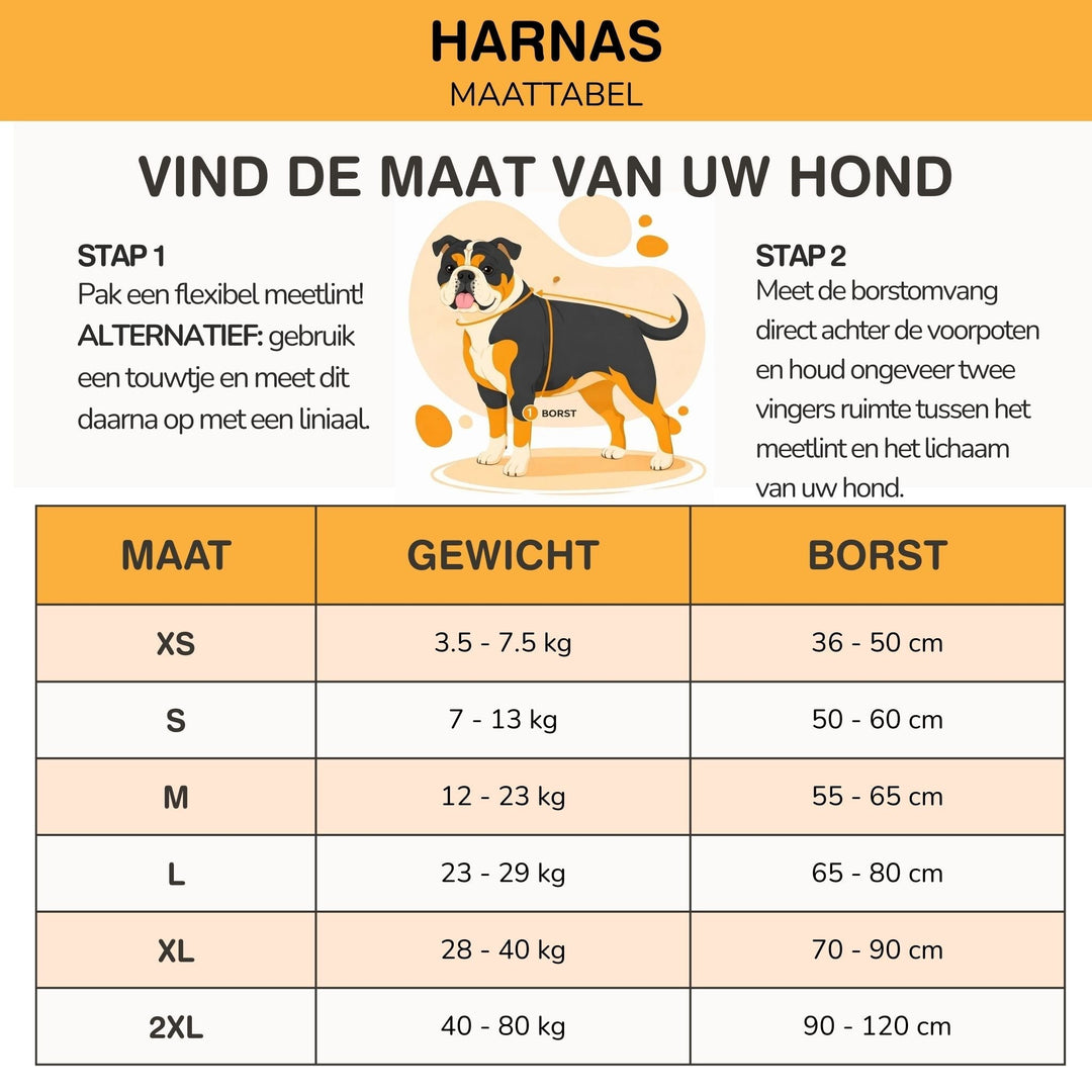 Personaliseerbaar hondentuig – reflecterend en ondersteunend ontwerp