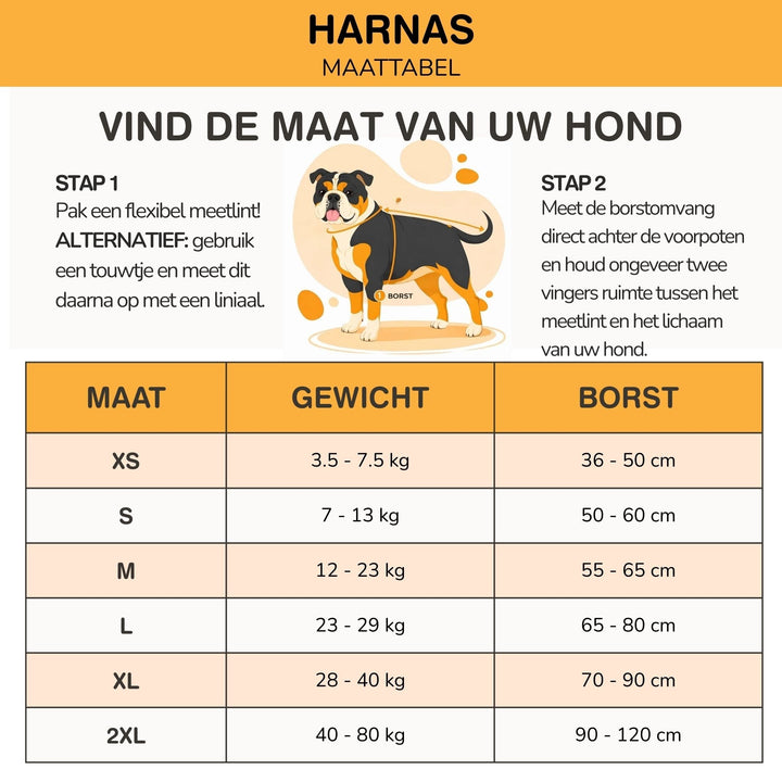 Personaliseerbaar hondentuig – reflecterend en ondersteunend ontwerp