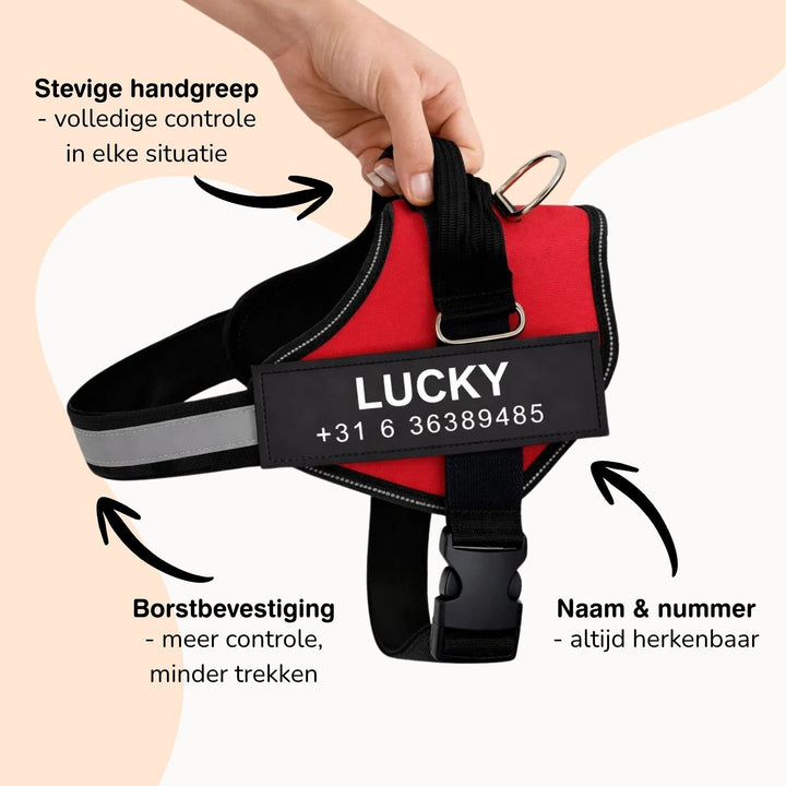 Personaliseerbaar hondentuig – reflecterend en ondersteunend ontwerp
