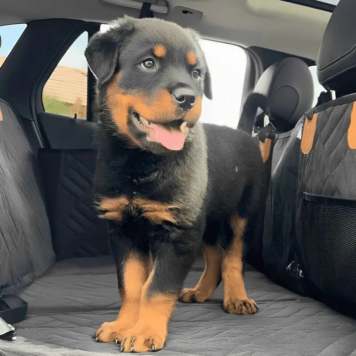 Waterdichte autostoelverlenger voor honden met stevige bodem en traagschuimbed